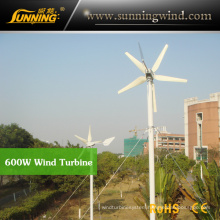 Residential Wind Generator 600W Wind Turbine Ventilator Home Use